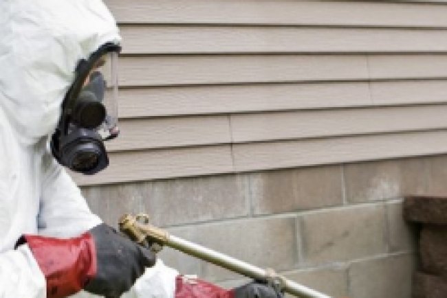 Rodent Control Services: Safeguard Your Home from Rats and Mice