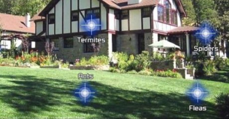 Don't settle for stings and bites