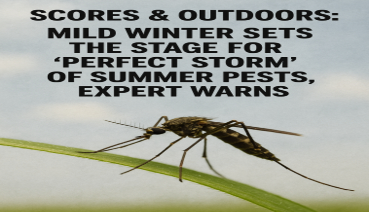 SCORES & OUTDOORS: Mild winter sets the stage for “perfect storm” of summer pests, expert warns