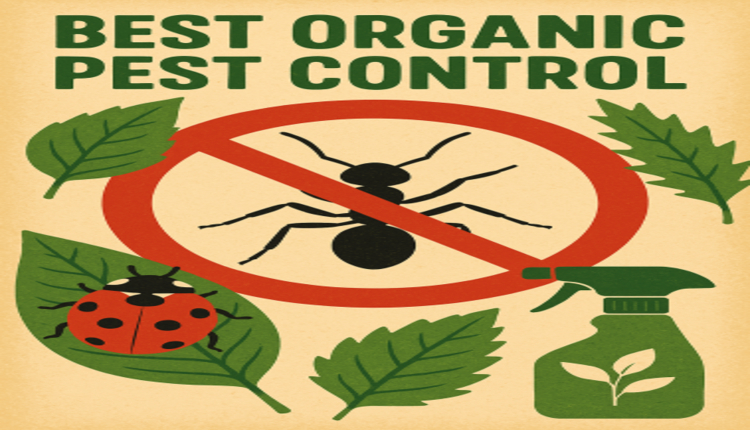 Best Organic Pest Control
